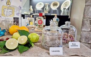 Viterbo - Essenze al Museo, prosegue l’appuntamento col ciclo di incontri