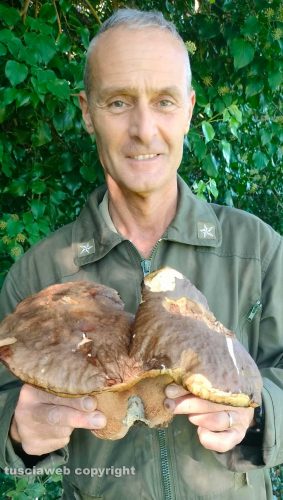 Bassano Romano - Il porcino "siamese" trovato da Piero D'Achille