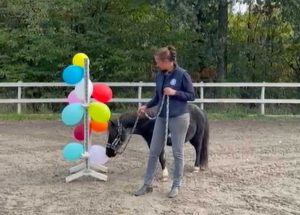 Viterbo - Circolo ippico "La Martingala" - Irma De Marco