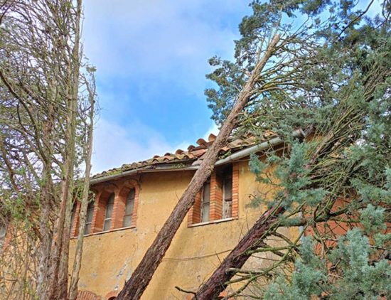 Fabrica di Roma - Alberi caduti sulla chiesetta del Redentore a Falerii Novi