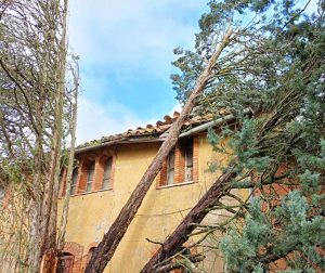 Fabrica di Roma - Alberi caduti sulla chiesetta del Redentore a Falerii Novi