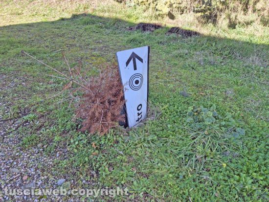 Montefiascone - Palazzetto dello sport - Un alberello secco e un cartello per coprire un tombino rotto