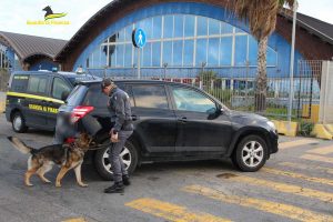 Tarquinia - Guardia di finanza - Un cane anti-droga in azione