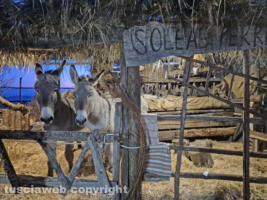Montefiascone - Il presepe vivente