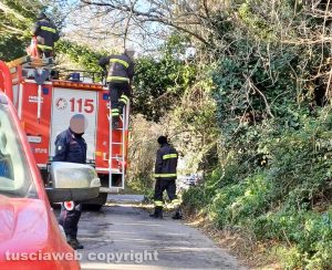 Alberi caduti su strada provinciale Ronciglionese - I vigili del fuoco e i carabinieri