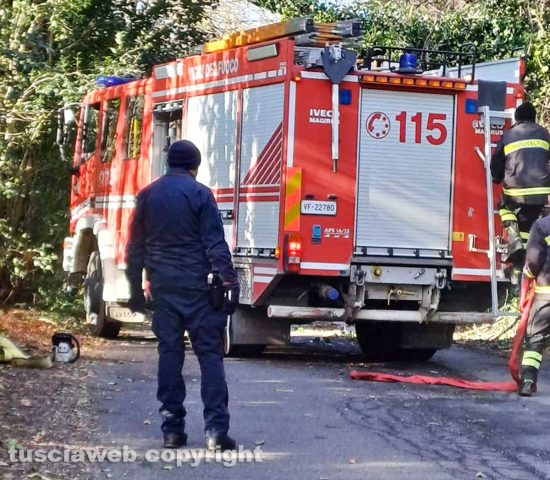 Alberi caduti su strada provinciale Ronciglionese - I vigili del fuoco e i carabinieri