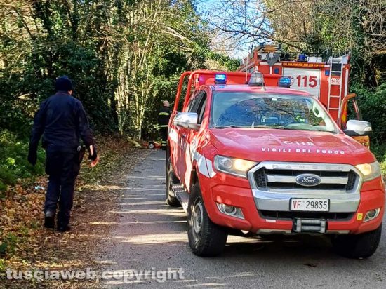 Alberi caduti su strada provinciale Ronciglionese - I vigili del fuoco e i carabinieri