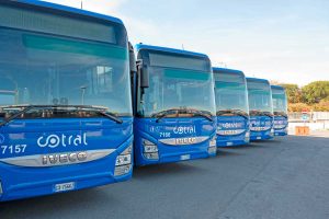 Bus Cotral