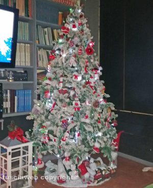 L'albero di Gianpaolo Vaccari