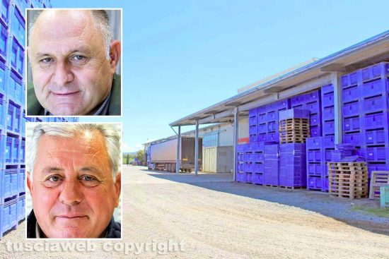 L'azienda ortofrutticola e nei riquadri Stefano e Alberto Calevi