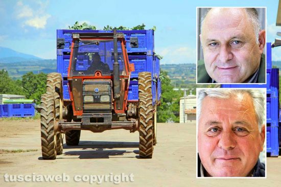 L'azienda ortofrutticola e nei riquadri Stefano e Alberto Calevi