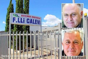 L'azienda ortofrutticola e nei riquadri Stefano e Alberto Calevi