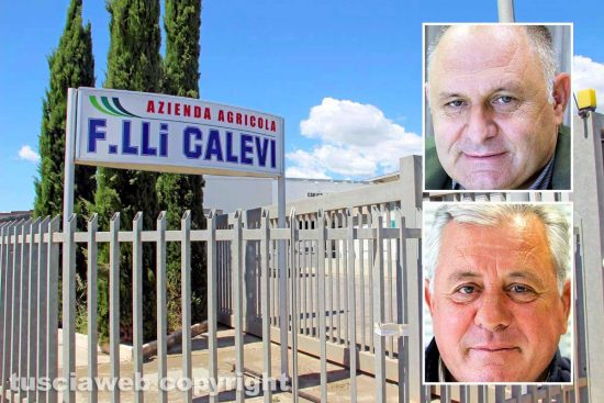 L'azienda ortofrutticola e nei riquadri Stefano e Alberto Calevi
