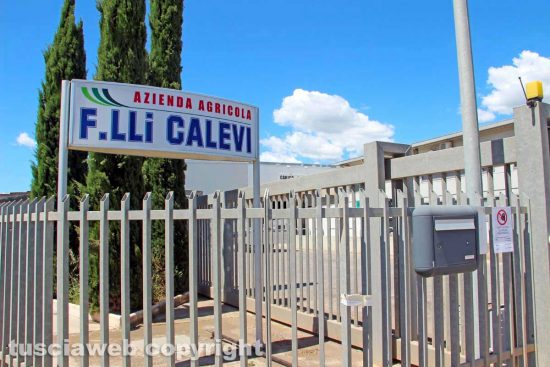 Viterbo - L'azienda agricola fratelli Calevi