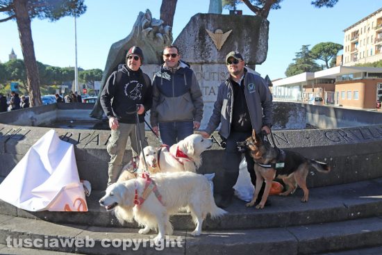 Viterbo - “Passeggiata di Natale con i Golden retriever”
