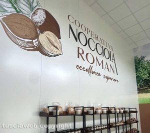 La cooperativa Nocciola romana