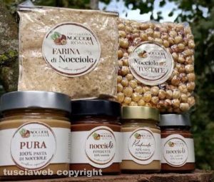 La cooperativa Nocciola romana