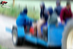 Lavoratori sfruttati in azienda ortofrutticola