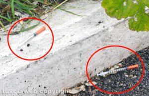 Viterbo - Erba alta e siringhe in via Einaudi