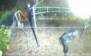 Tuscania - Furto in appartamento