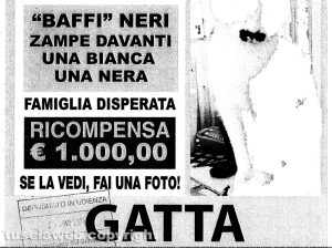 Truffa del gatto rapito - Nella foto l'appello che ha permesso all'imputato di intercettare la vittima