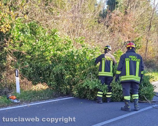 Intervento dei vigili del fuoco sulla Flaminia