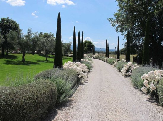 Viale di ingresso al Resort