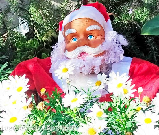 Un Babbo Natale tra le margherite
