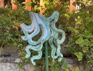 Santa Marinella - Aiuole vandalizzate