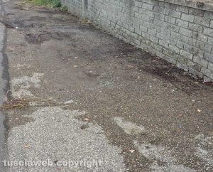 Via dell'Agricoltura ripulita