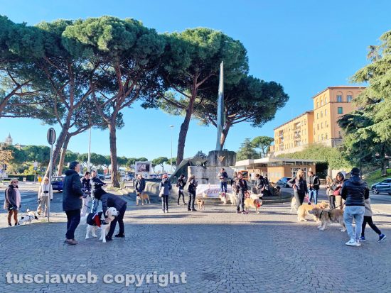 Viterbo - “Passeggiata di Natale con i Golden retriever”