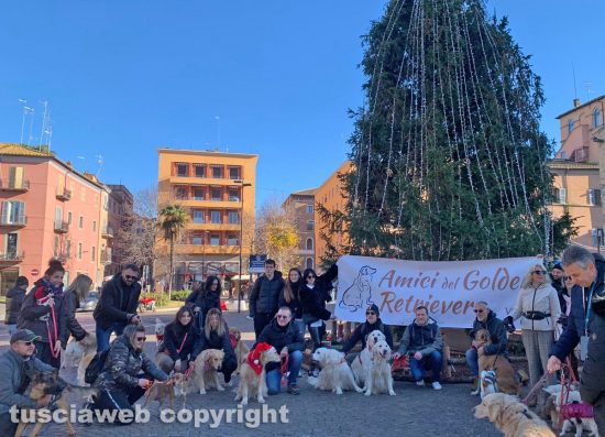 Viterbo - “Passeggiata di Natale con i Golden retriever”