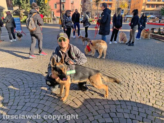 Viterbo - “Passeggiata di Natale con i Golden retriever”