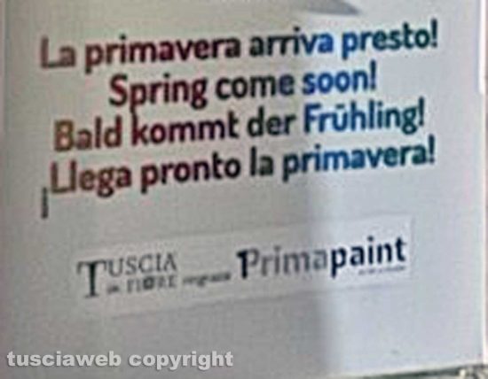 Viterbo - Il muro all'uscita dall'ascensore che porta al duomo pitturato in rosa con tanto di murali e un cartello pubblicitario - I loghi dei privati poi tolti da Giulio Della Rocca