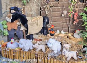 Montefiascone - Rubati tre peluche dagli addobbi natalizi in via Porticella