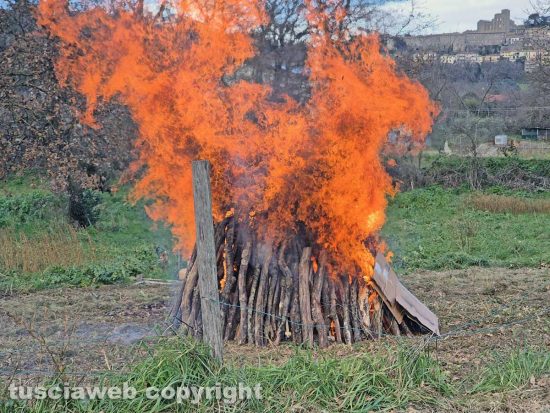 Montefiascone - I festeggiamenti in onore di Sant'Antonio - Il "focarone"