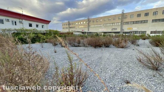 Viterbo - L'ecocentro del Poggino incustodito