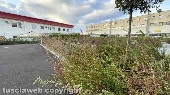Viterbo - L'ecocentro del Poggino incustodito