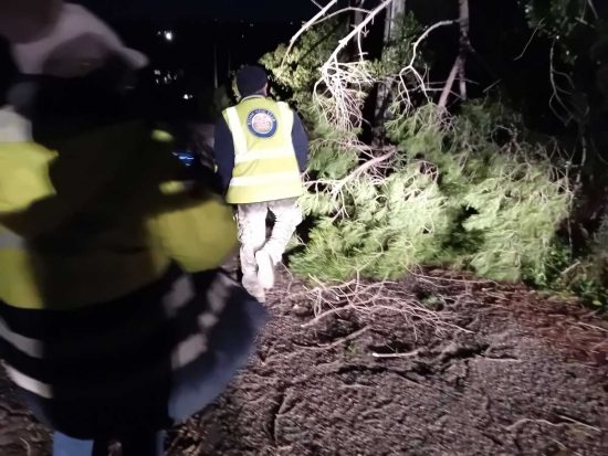 Alberi e rami caduti a Tarquinia