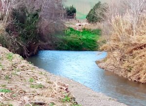 Tarquinia - Fiume Marta - Interventi di manutenzione