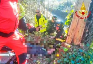 Pescia - Travolto da un albero che stava tagliando, muore operaio
