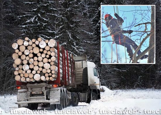 Carico di legname - Nel riquadro un boscaiolo al lavoro (foto di repertorio)