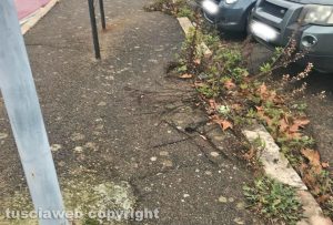 Viterbo - Mancanza di cura alla fine di viale Bruno Buozzi, all'ingresso del nuovo parcheggio al Pilastro