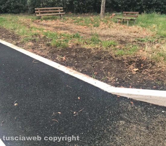 Viterbo - Mancanza di cura alla fine di viale Bruno Buozzi, all'ingresso del nuovo parcheggio al Pilastro