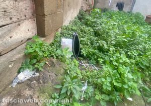 Viterbo - Erba alta e degrado in via Cardinal la Fontaine