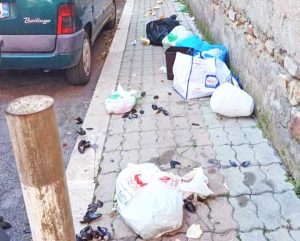 Civitavecchia - Rifiuti abbandonati su via dei Bastioni