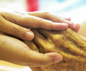 Servizio civile 2025