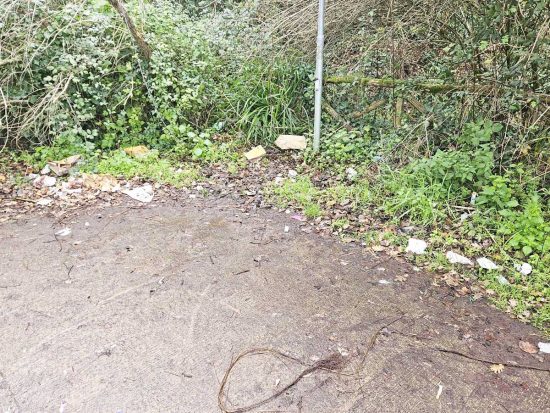 Viterbo - Gioventù nazionale ripulisce il parco pubblico in via Tullio Cima