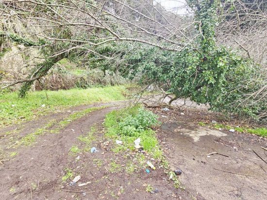 Viterbo - Gioventù nazionale ripulisce il parco pubblico in via Tullio Cima