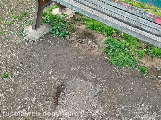 Viterbo - Giardinetti a Santa Barbara in uno stato di abbandono
